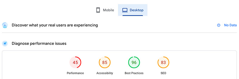 Google Page Insights